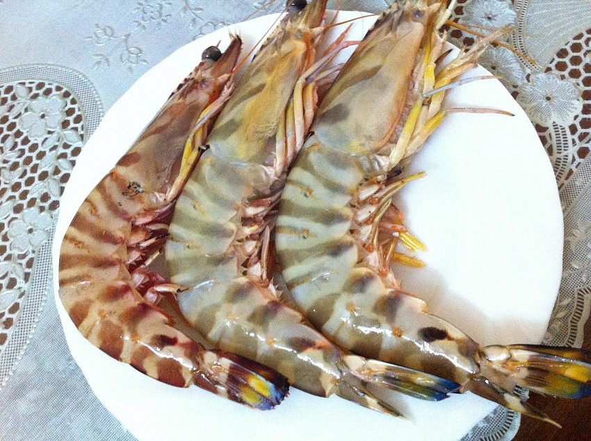 Kinh nghiệm du lịch Cô Tô từ A đến Z (P4) Kinh nghiệm du lịch Cô Tô từ A đến Z (P4)