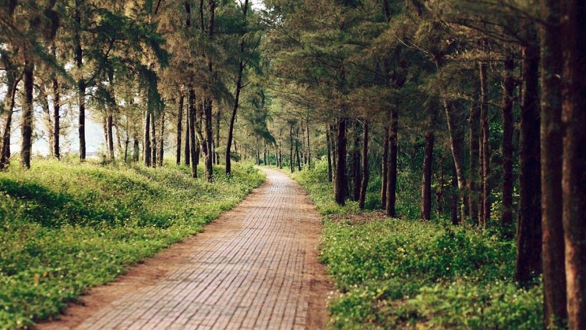 Dạo bước trên con đường tình yêu đảo Cô Tô Dạo bước trên con đường tình yêu đảo Cô Tô