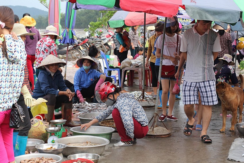 Ghé Thăm Chợ Hải Sản Khi Du Lịch Cô Tô