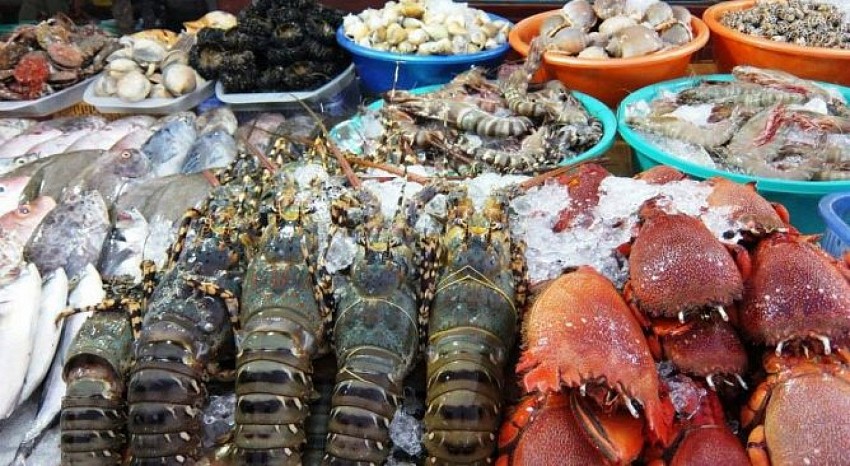 Ghé Thăm Chợ Hải Sản Khi Du Lịch Cô Tô